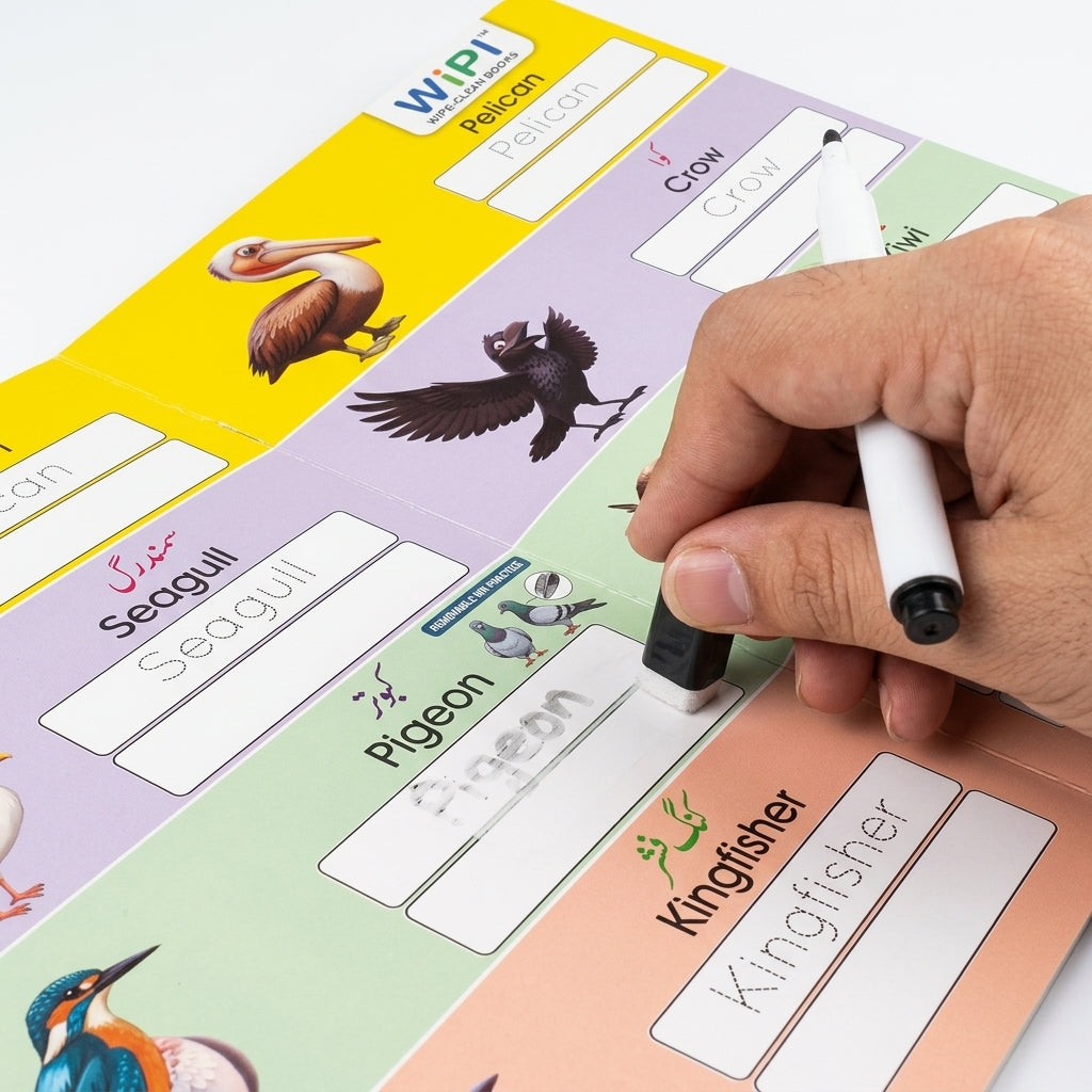 A close-up of a hand using a white marker to write on a colorful bird identification chart. The chart has sections for different birds like pelican, crow, seagull, pigeon, and kingfisher, with illustrations and blank writing boxes.